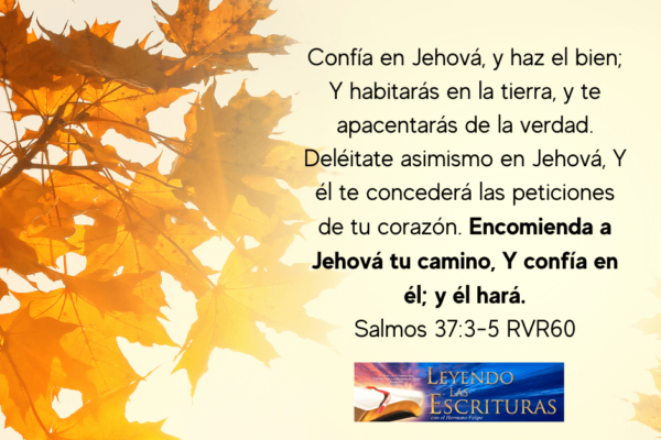 Delight also in Jehovah, and He will grant you the requests